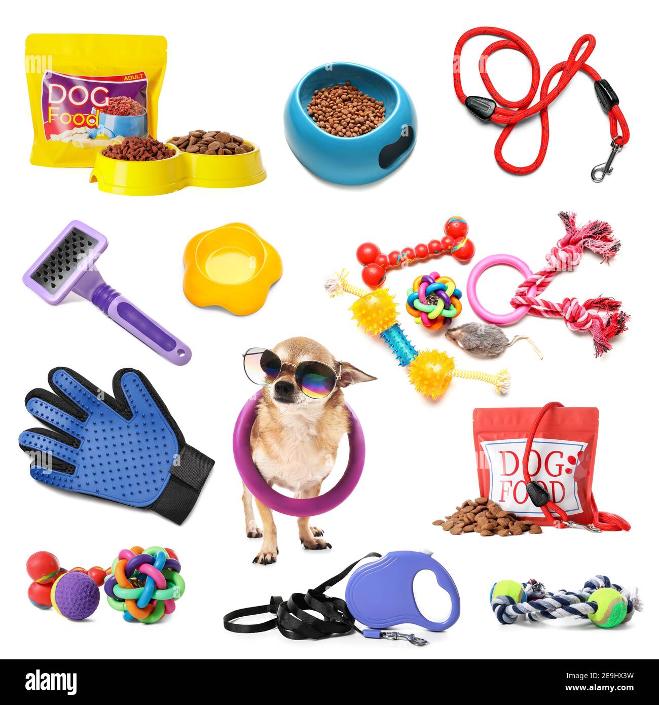 Dog Accessories